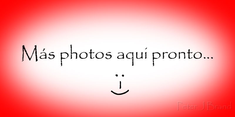 MasPhotos.jpg