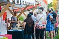 2013-08-18-Castrum-des-Pommiers-013