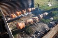 2013-08-18-Castrum-des-Pommiers-084