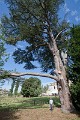 2013-08-18-Castrum-des-Pommiers-200