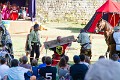 2013-08-18-Castrum-des-Pommiers-321