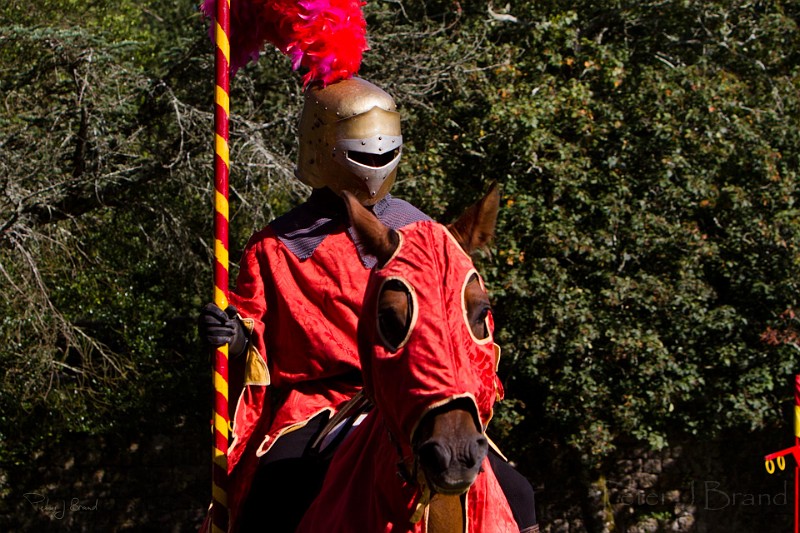 2014-08-16-Festival-Médiéval-au-Castrum-de-Pommyers-160.jpg