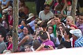 2014-08-16-Festival-Médiéval-au-Castrum-de-Pommyers-106