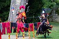 2014-08-16-Festival-Médiéval-au-Castrum-de-Pommyers-175