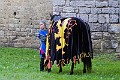 2014-08-16-Festival-Médiéval-au-Castrum-de-Pommyers-179