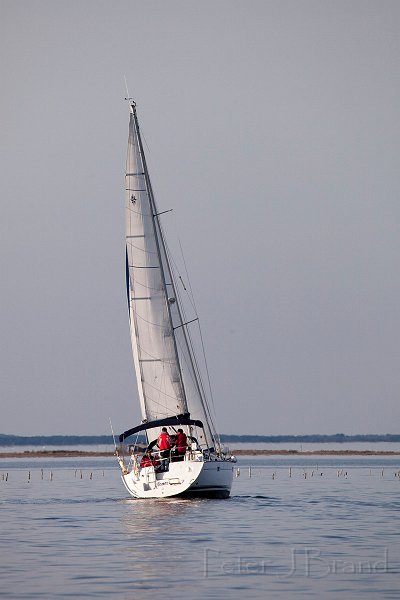 2010-03-16.JPG - Le Nornes, Bassin d'Arcachon, Mars 2010