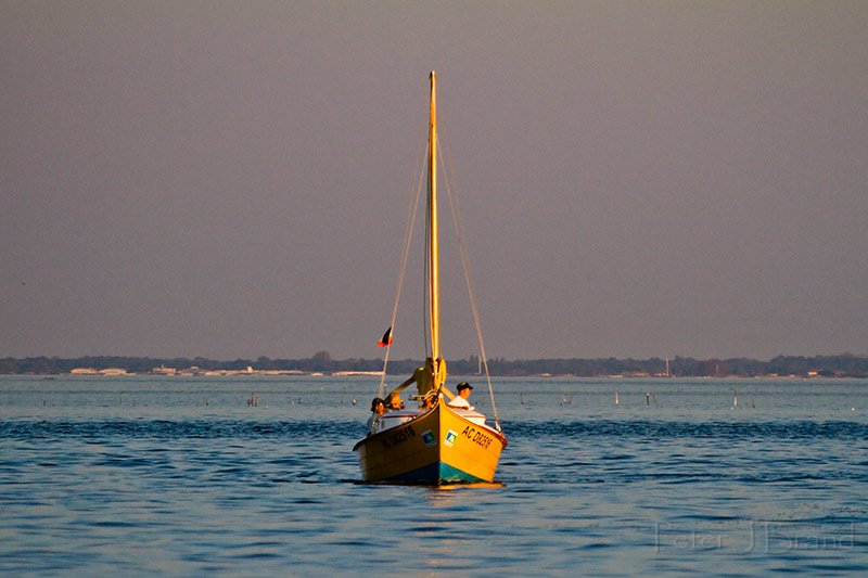 2011-09-30-Ile-aux-Oiseaux-005.jpg