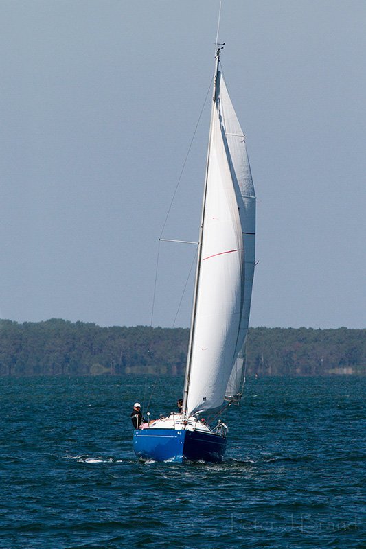 Bassin-d-Arcachon---Mai-2011.jpg